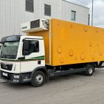Refrigerator truck MAN TGL 12.250 Tiefkühlkoffer 6m LBW E6 Klima Autom MAN Refrigerator truck 2016